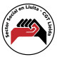 Sector social en lluita - CGT Lleida